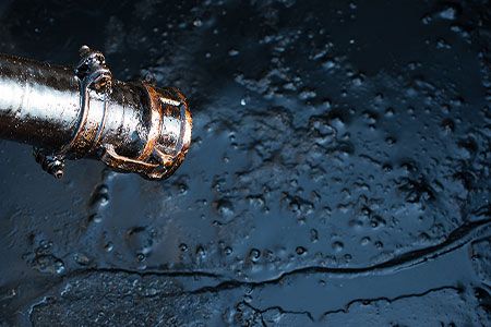 US energy trade balance still dominated by crude oil imports, says EIA
