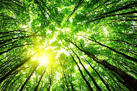 Port Esbjerg and Honeywell partner for 70% carbon reduction